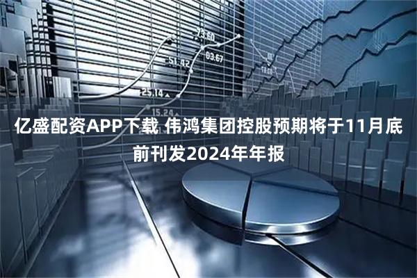 亿盛配资APP下载 伟鸿集团控股预期将于11月底前刊发2024年年报