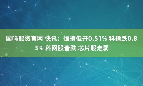 国鸣配资官网 快讯:恒指低开0.51% 科指跌0.83% 科网股普跌 芯片股走弱