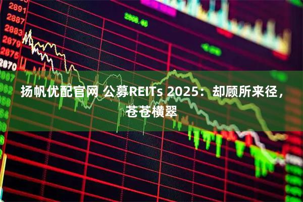 扬帆优配官网 公募REITs 2025：却顾所来径，苍苍横翠