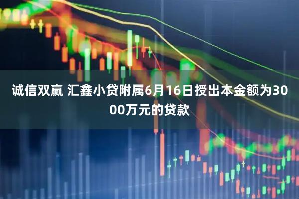 诚信双赢 汇鑫小贷附属6月16日授出本金额为3000万元的贷款