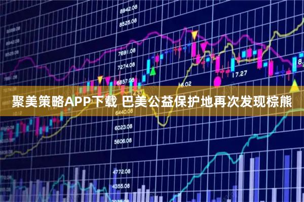 聚美策略APP下载 巴美公益保护地再次发现棕熊